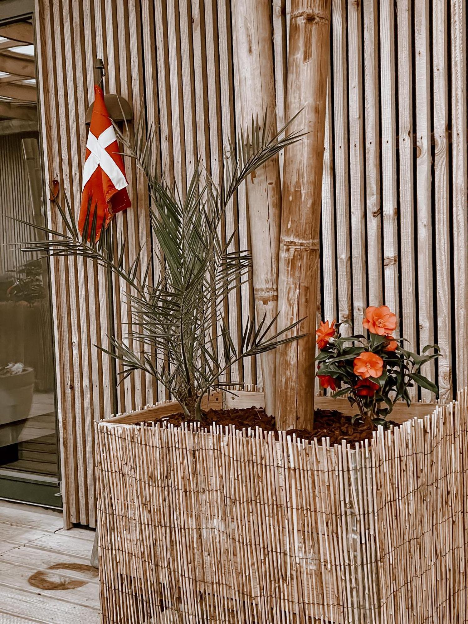 Guesthouse Klitmøller Exteriör bild